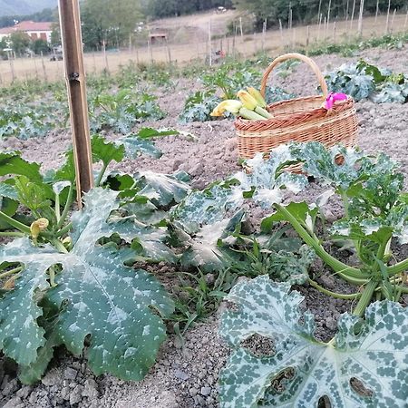 Agriturismo Dei Legi San Pietro Vara Екстер'єр фото
