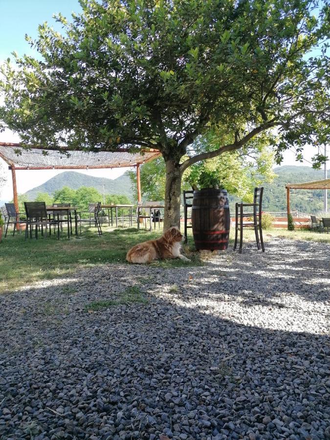 Agriturismo Dei Legi San Pietro Vara Екстер'єр фото