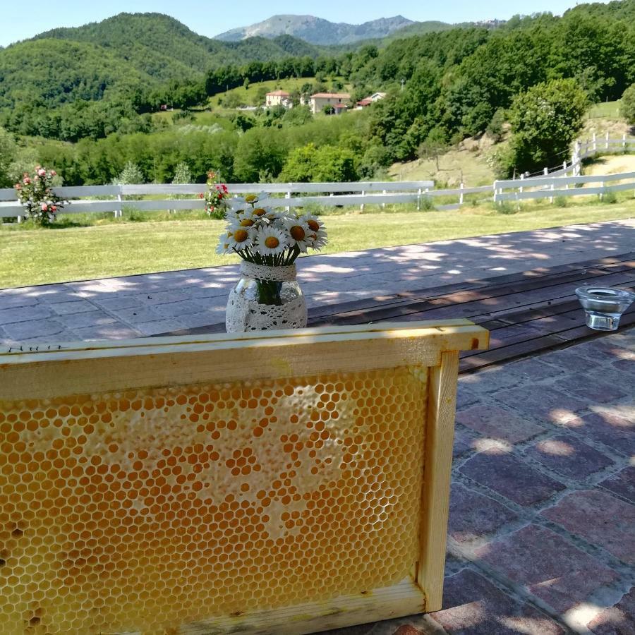 Agriturismo Dei Legi San Pietro Vara Екстер'єр фото