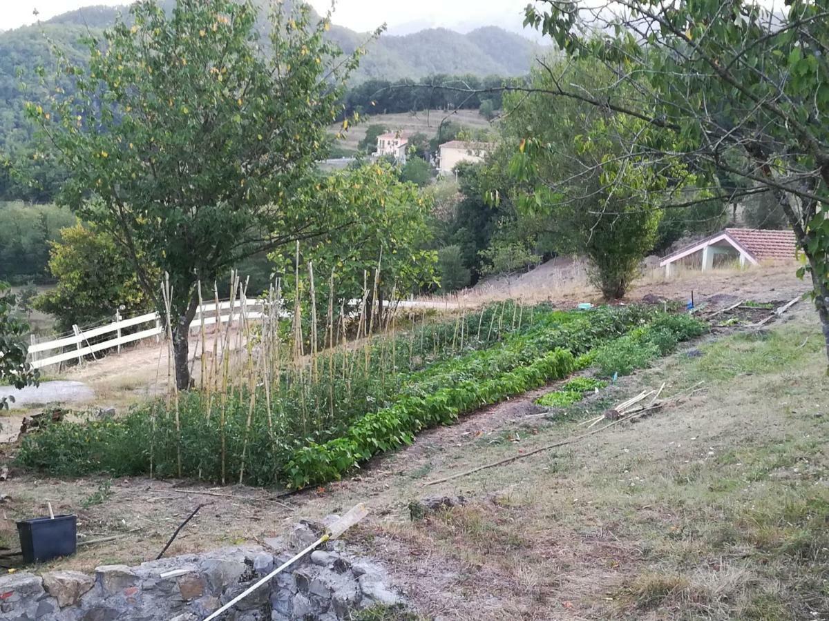 Agriturismo Dei Legi San Pietro Vara Екстер'єр фото