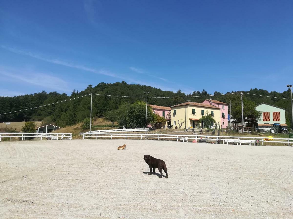 Agriturismo Dei Legi San Pietro Vara Екстер'єр фото
